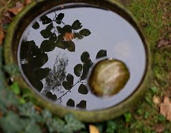 Hiltruper Herbst (Vogeltränke. 13.10.2016; Foto: Klare)