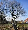 Spielplatz Vennheide: jetzt wirds was